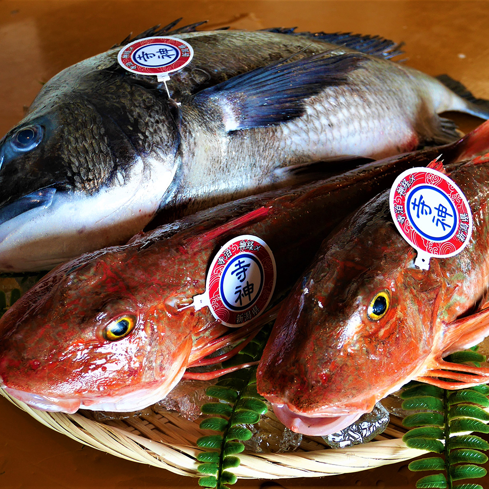 お魚 長岡うまいものドットコム